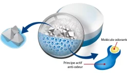 Rubson 5 recharges neutre pour absorbeur d'humidité Aéro 360° 20m² + 1 recharge lavande Clearance