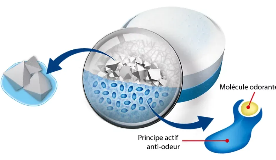 Rubson 5 recharges neutre pour absorbeur d'humidité Aéro 360° 20m² + 1 recharge lavande Clearance