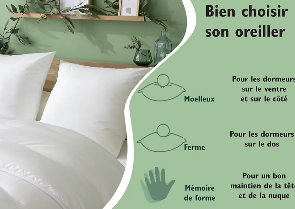 Abeil Lot de 2 Oreillers Douceur - 60 x 60 cm - Blanc Online