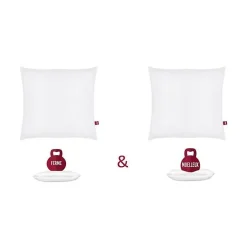 Abeil Lot de 2 Oreillers DOUBLE CONFORT 100% Coton 60x60cm