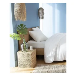 Abeil Lot de 2 Oreillers FluffyDream 60 x 60 cm