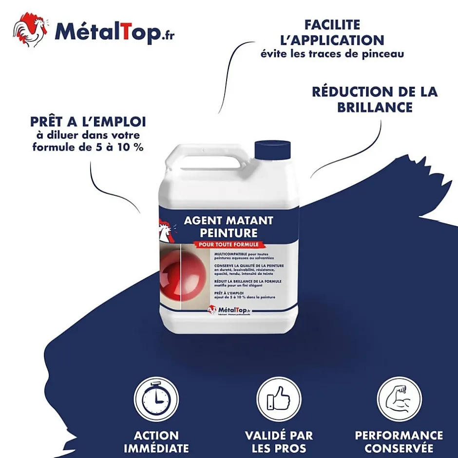 Metaltop Agent Matant Peinture - 5 L - Métaltop Outlet