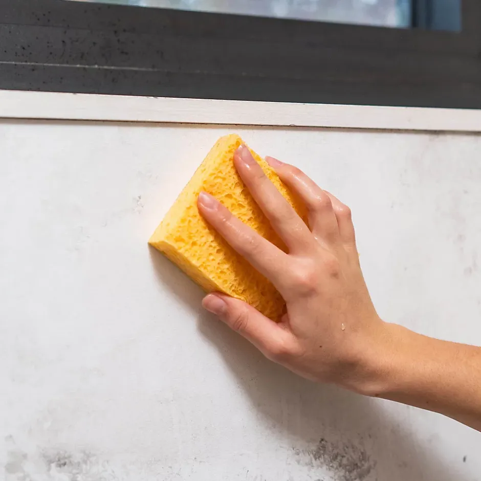 Starwax Anti-moisissures murs et pièces à vivre 500ml Best