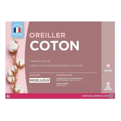 Blanreve Lot de 2 Oreillers en coton - 60 x 60 cm - Blanc New