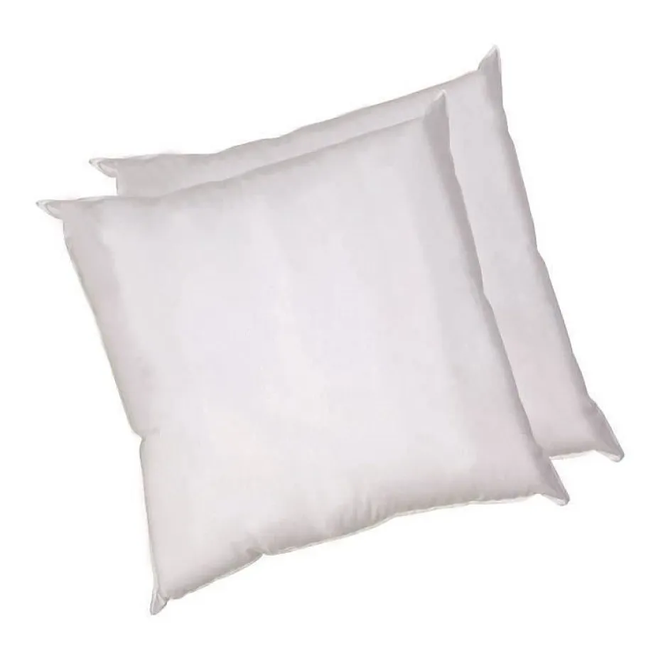 Blanreve Lot de 2 Oreillers en coton - 60 x 60 cm - Blanc New