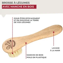 Fackelmann Brosse à légumes en bois Wood Edition