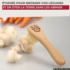Fackelmann Brosse à légumes en bois Wood Edition