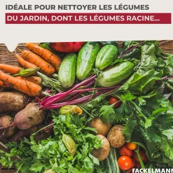 Fackelmann Brosse à légumes en bois Wood Edition