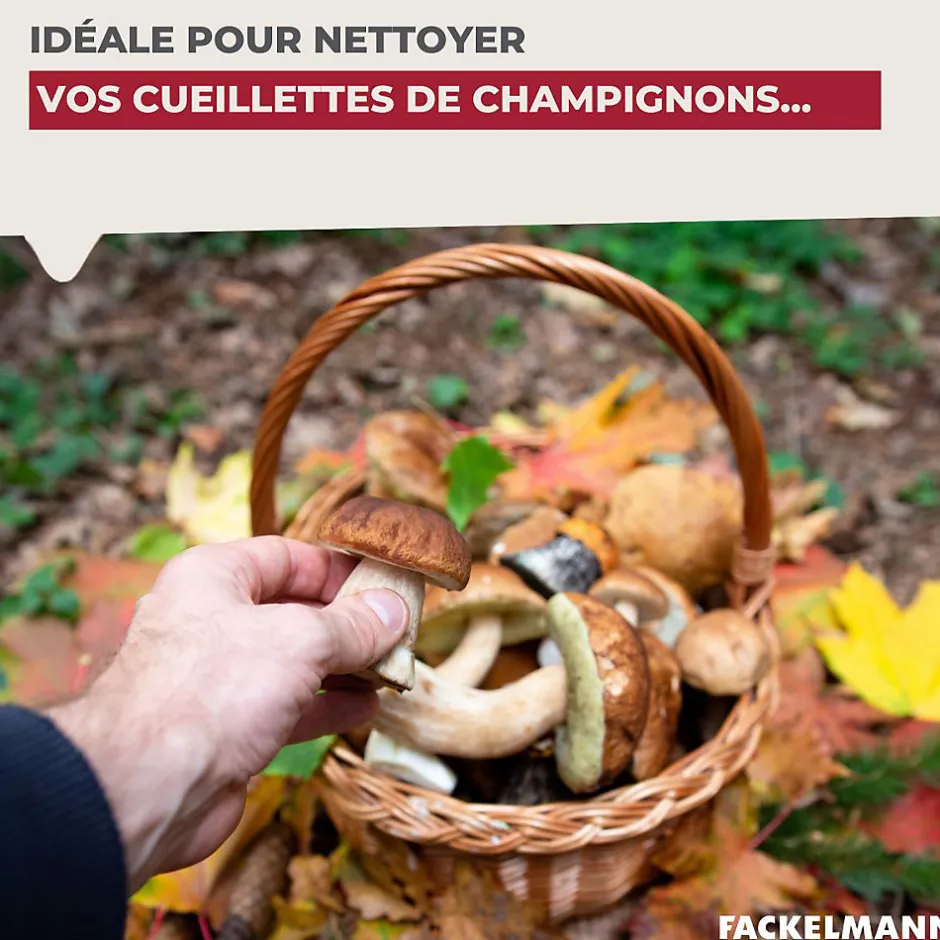 Fackelmann Brosse à légumes en bois Wood Edition