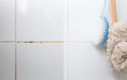GoodHome Brosse joints carrelage poils rigide blanc l.2.5 cm Discount