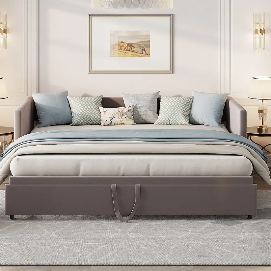 ProximaX Canapé-lit convertible 90/180x200 cm en velours gris, design moderne, sommier à lattes inclus