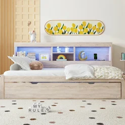 Blackcolors Canapé-lit 90x200cm LED télécommandé rangement prise/USB sans matelas naturel