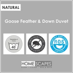 Homescapes Couette chaude 135 x 200 cm en duvet et plumes d'oie 13.5 Tog -