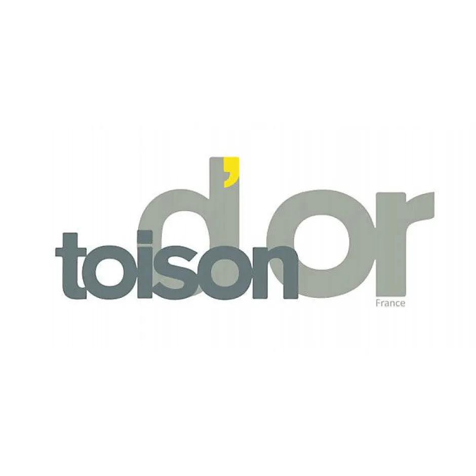 Toison d'Or Couette chaude Bicolore Gamme Microfibre "Cocoon Non feu - Norme NF EN ISO 12952" toutes dimensions - Cocoon Galet Lac