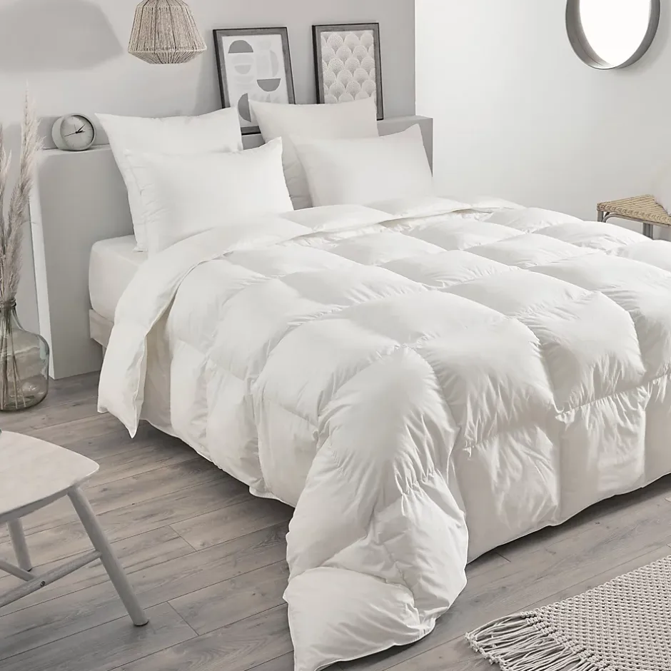 Toison d'Or Couette chaude en plumettes et duvet (240x260 cm - Blanc) Best