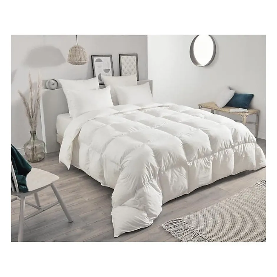Toison d'Or Couette chaude en plumettes et duvet (240x260 cm - Blanc) Best