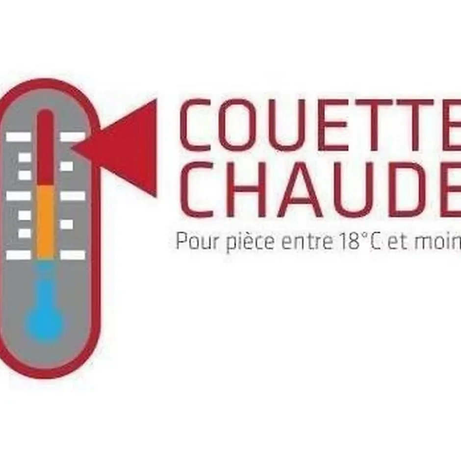 Abeil Couette chaude 400gr/m² Douceur Auvergnate - 140 x 200 cm - 1 personne - New
