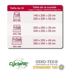 Abeil Couette de lit Douceur Absolue blanc Dimension - 200x200, Grammage - 200 g/m2