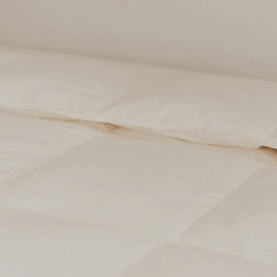 Olympe Literie Couette Duvet et Plumes Natura 240x260 cm Online