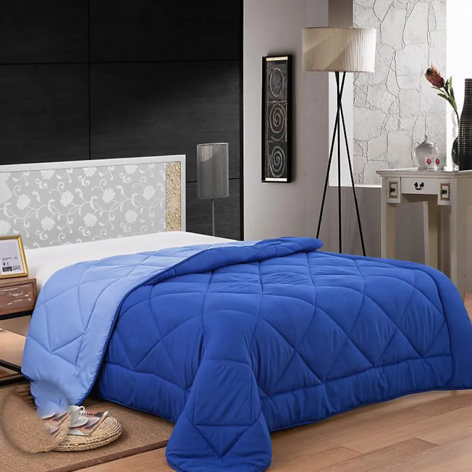 Herzberg Couette En Microfibre Bicolore 240x200cm bleu HG2420BCO-BLUE Best