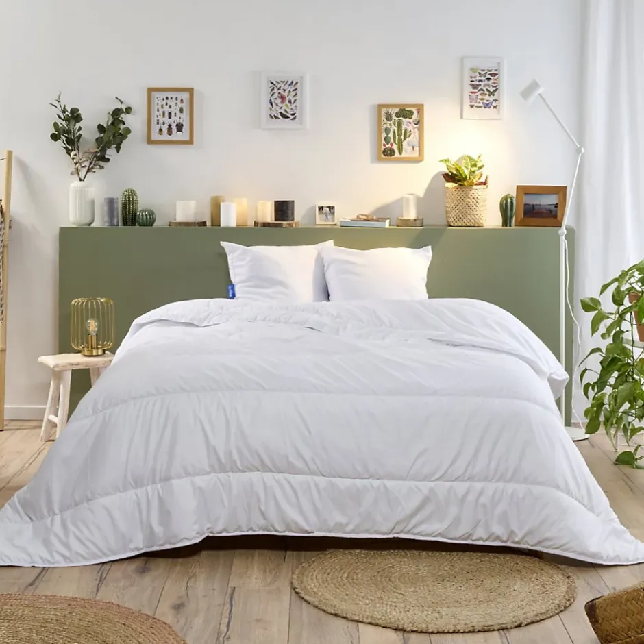 Bleu Calin Couette Légère 220x240cm COTON BIO PRINTEMPS ÉTÉ Best