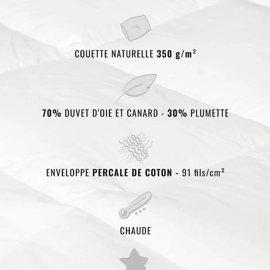 Sensei Maison Couette naturelle - Chaude - 70% duvet anti-acarienne 280x240 cm APPALACHES Discount