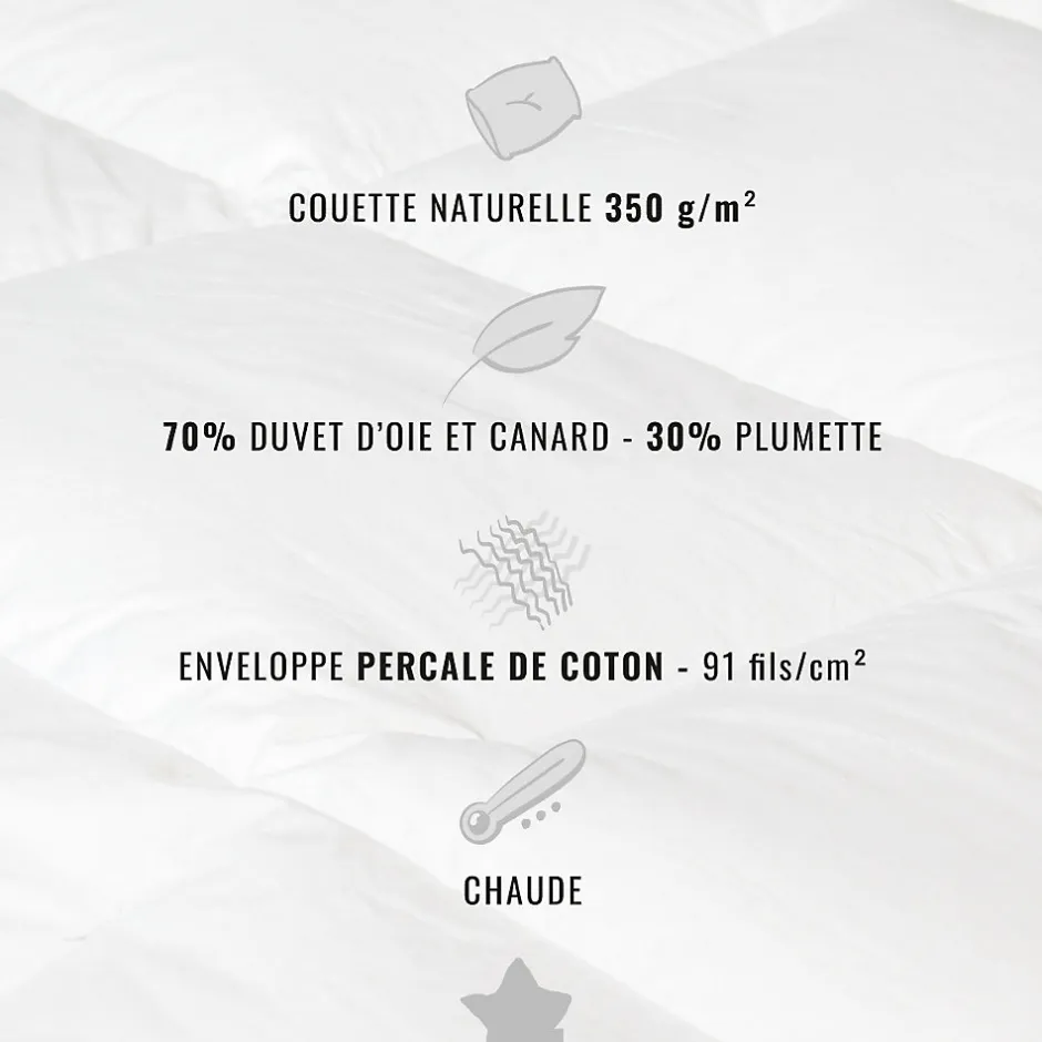 Sensei Maison Couette naturelle - Chaude - 70% duvet anti-acarienne 240x220 cm APPALACHES