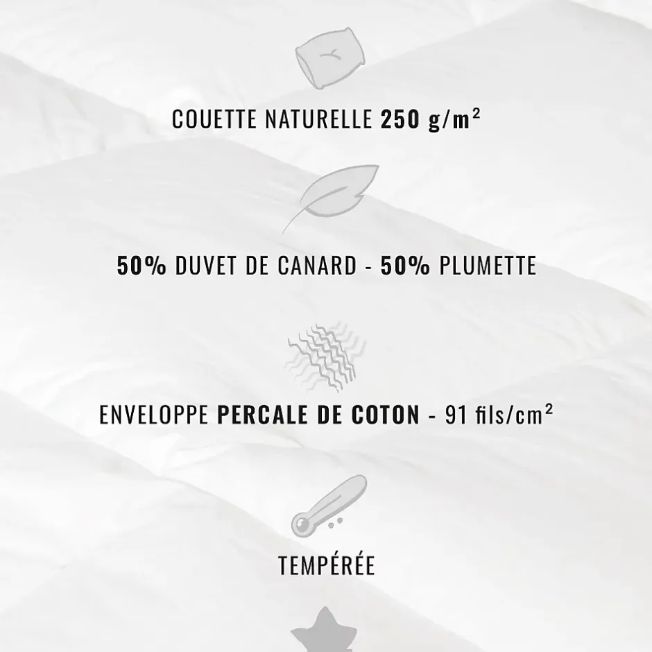 Sensei Maison Couette naturelle - Tempérée - 50% duvet 250 g/m² 200x200 cm AVORIAZ Outlet
