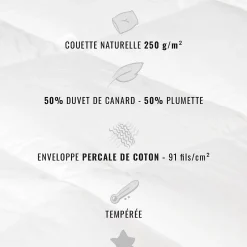 Sensei Maison Couette naturelle - Tempérée - 50% duvet 250 g/m² 140x200 cm AVORIAZ