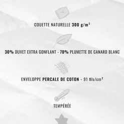 Sensei Maison Couette naturelle - Tempérée - 30% duvet 300 g/m² 240x220 cm NEVADA