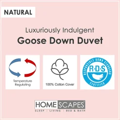 Homescapes Couette Premium chaude spéciale hiver en duvet d'oie 13.5 Tog - 200 x 200 cm -