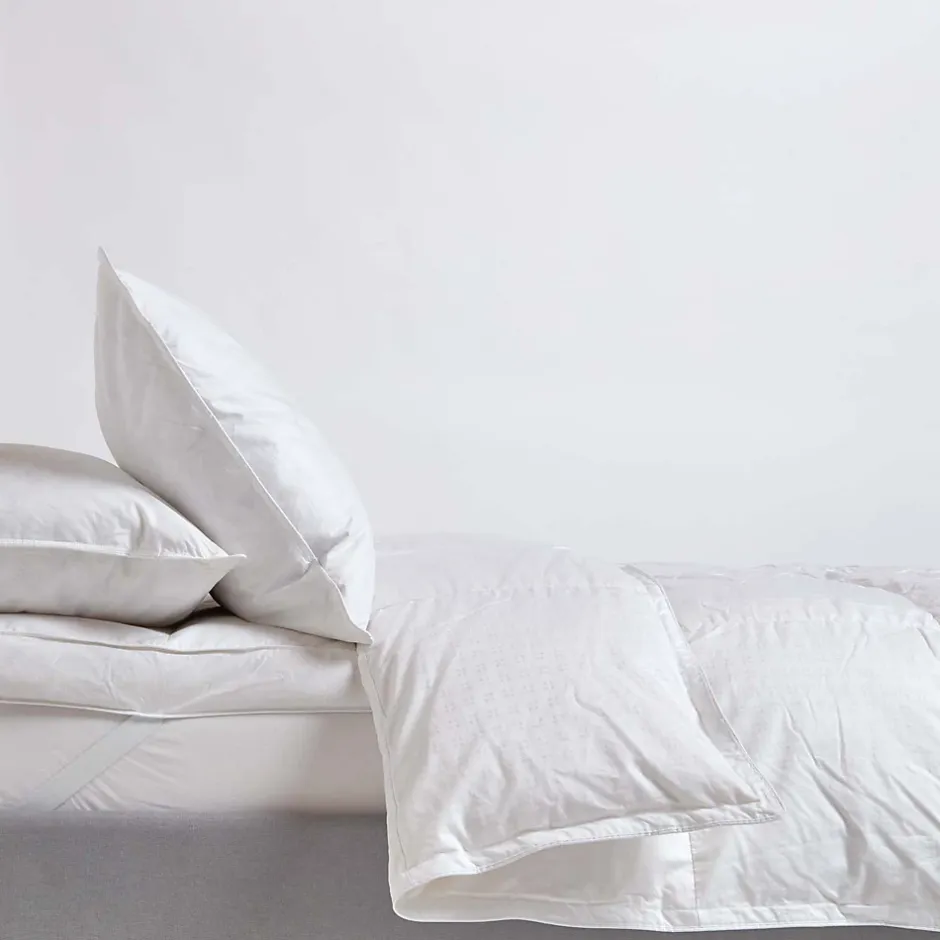 Homescapes Couette Premium tempérée printemps/automne en duvet d'oie 10.5 Tog - 200 x 200 cm - Hot