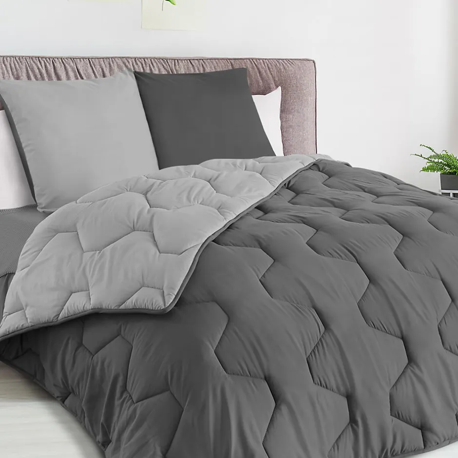 IDMarket Couette 220x240 CM ABBY bicolore gris clair et gris 300 gr + 2 oreillers