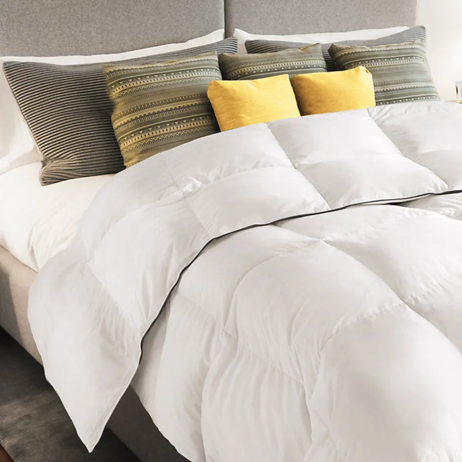 IDMarket Couette 220x240 CM AELA blanche en plume d'oie anti acarien 500 gr
