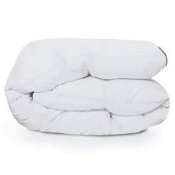 IDMarket Couette 220x240 CM AELA blanche en plume d'oie anti acarien 500 gr