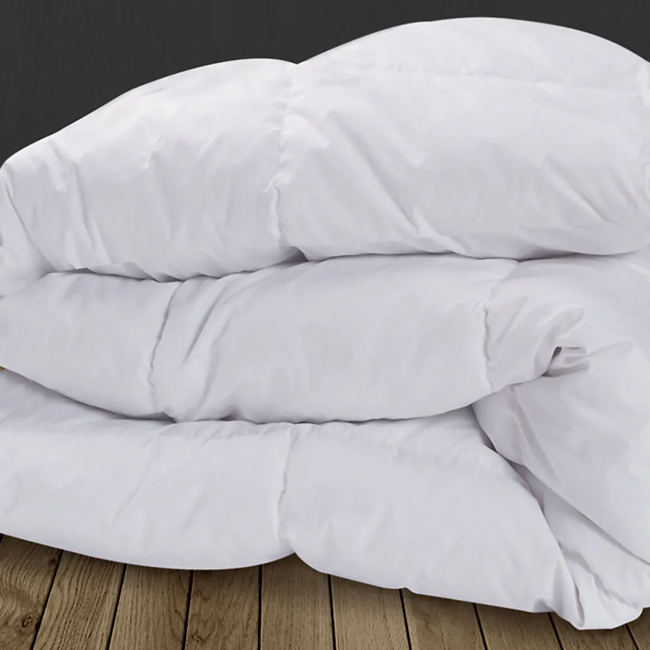 IDMarket Couette 220x240 CM AELA blanche en plume d'oie anti acarien 500 gr