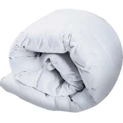 IDMarket Couette 220x240 CM AELA blanche en plume d'oie anti acarien 500 gr