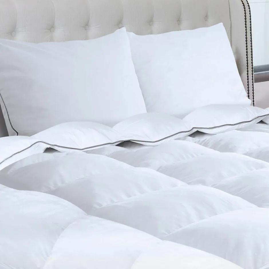 IDMarket Couette 220x240 CM AELA en plume d'oie anti acarien 500 gr + 2 oreillers