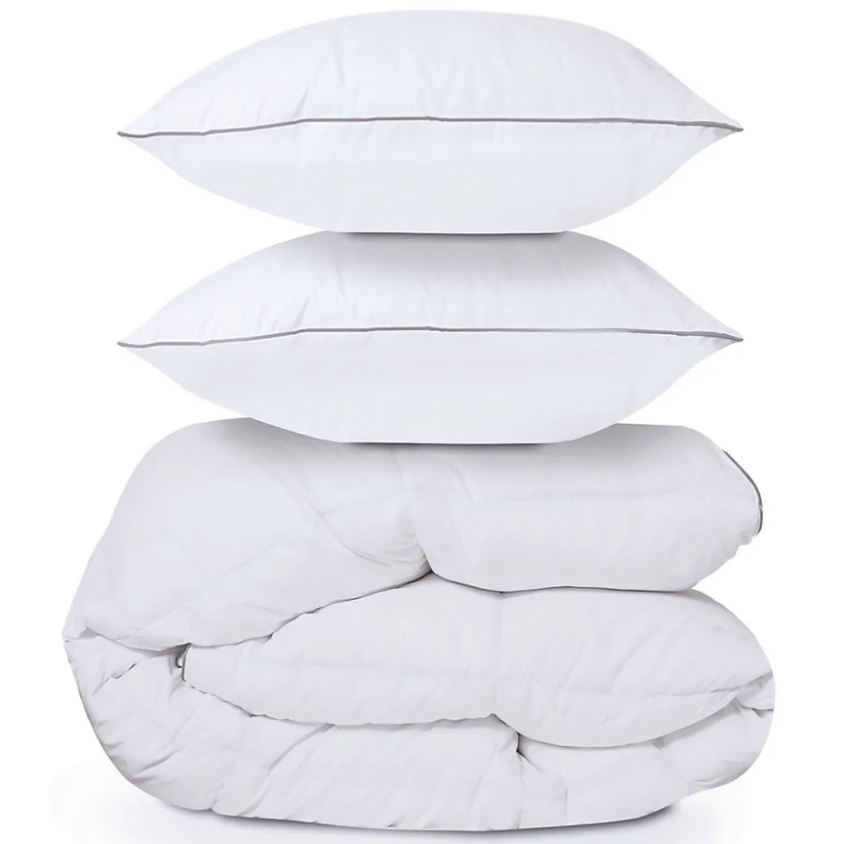 IDMarket Couette 220x240 CM AELA en plume d'oie anti acarien 500 gr + 2 oreillers