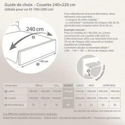 Linnea Couette 240x220 cm hiver CAP NORD garnissage naturel duvet d'oie 400g/m2 Best