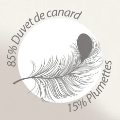 Linnea Couette 280x240 cm été FINLANDE garnissage naturel duvet de canard 180g/m2
