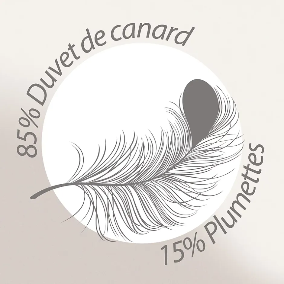 Linnea Couette 200x200 cm été FINLANDE garnissage naturel duvet de canard 180g/m2 Outlet