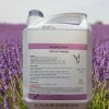 Le Plus De L'Entretien detergent neutre 3D : nettoie, desodorise et desinfecte - Parfum lavande - 5L - Fabrication francaise
