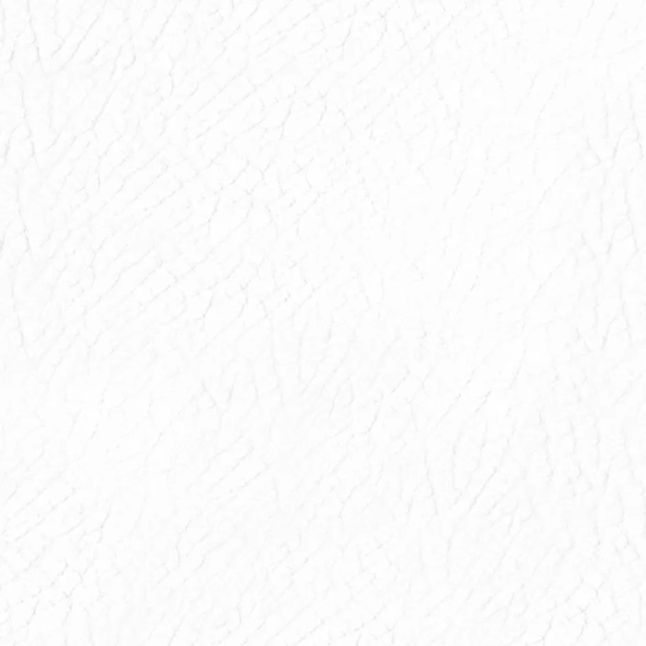 Les Anciens Ebenistes DIRECT COLOR - Recolore le cuir - 250ML BLANC - Les anciens ébénistes Discount