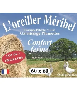 Dodo Lot de 2 Oreillers MERIBEL Plumettes 60x60cm