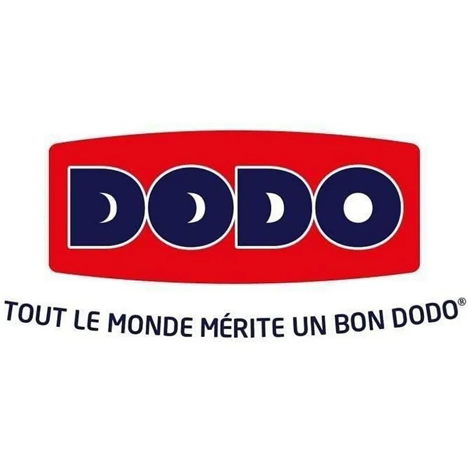 Dodo Oreiller Grand luxe Quallofil Allerban - 60 x 60 cm - Blanc