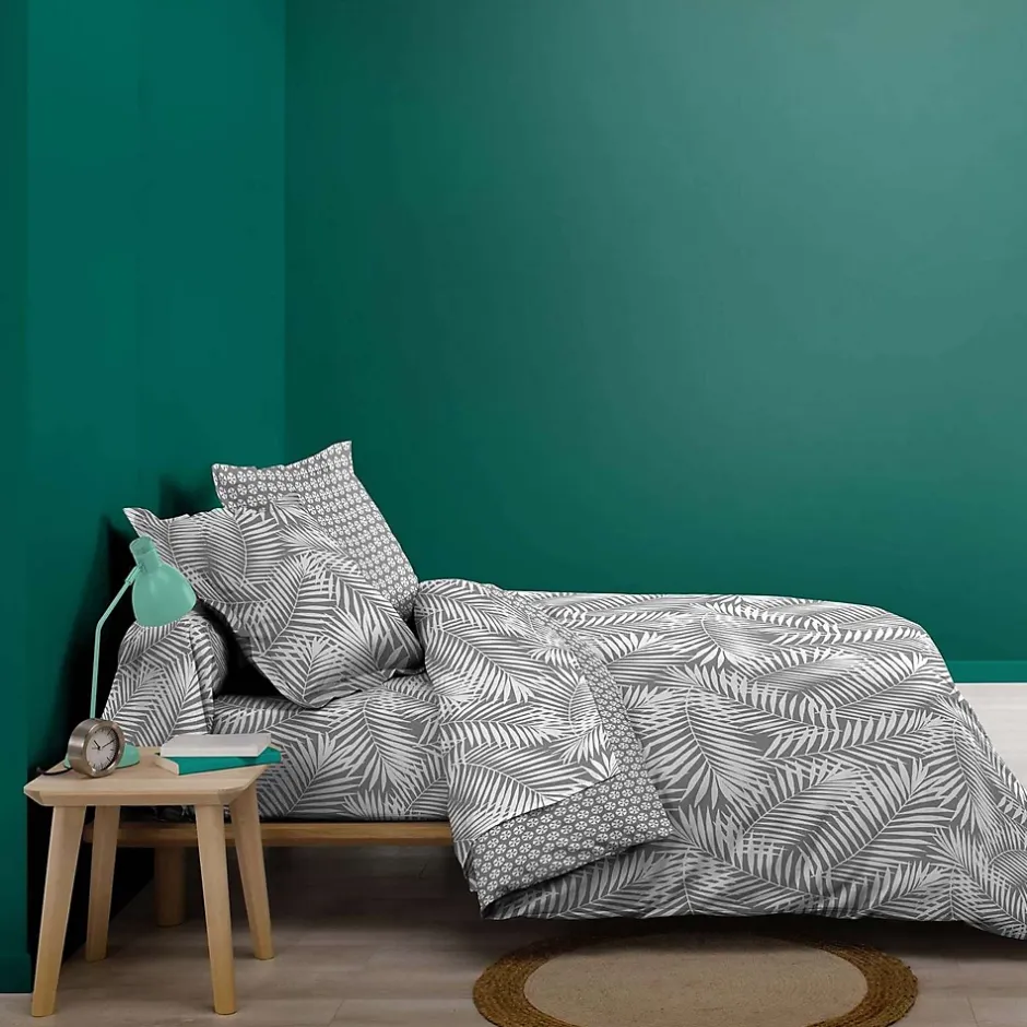 Douceur D'Intérieur Drap housse BONA - 100% Coton - 140 x 190 cm Clearance