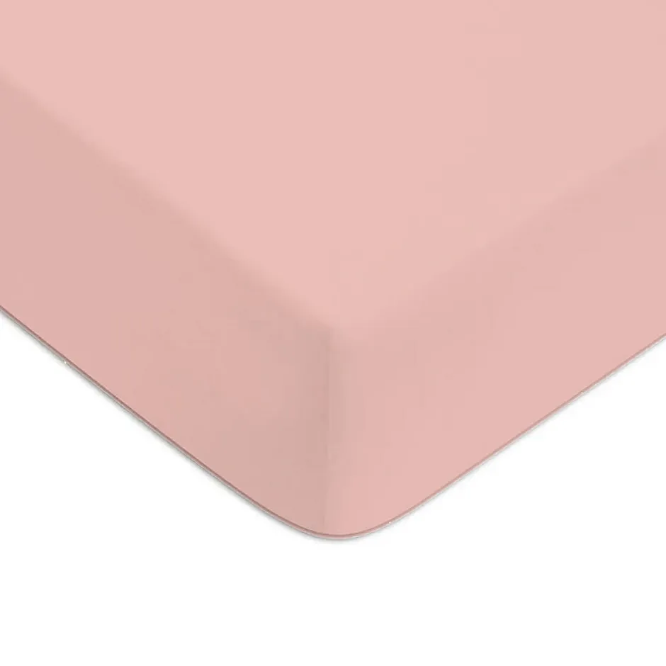 Future Home Drap housse en coton 57 fils uni bonnet 25cm 140x200cm Discount