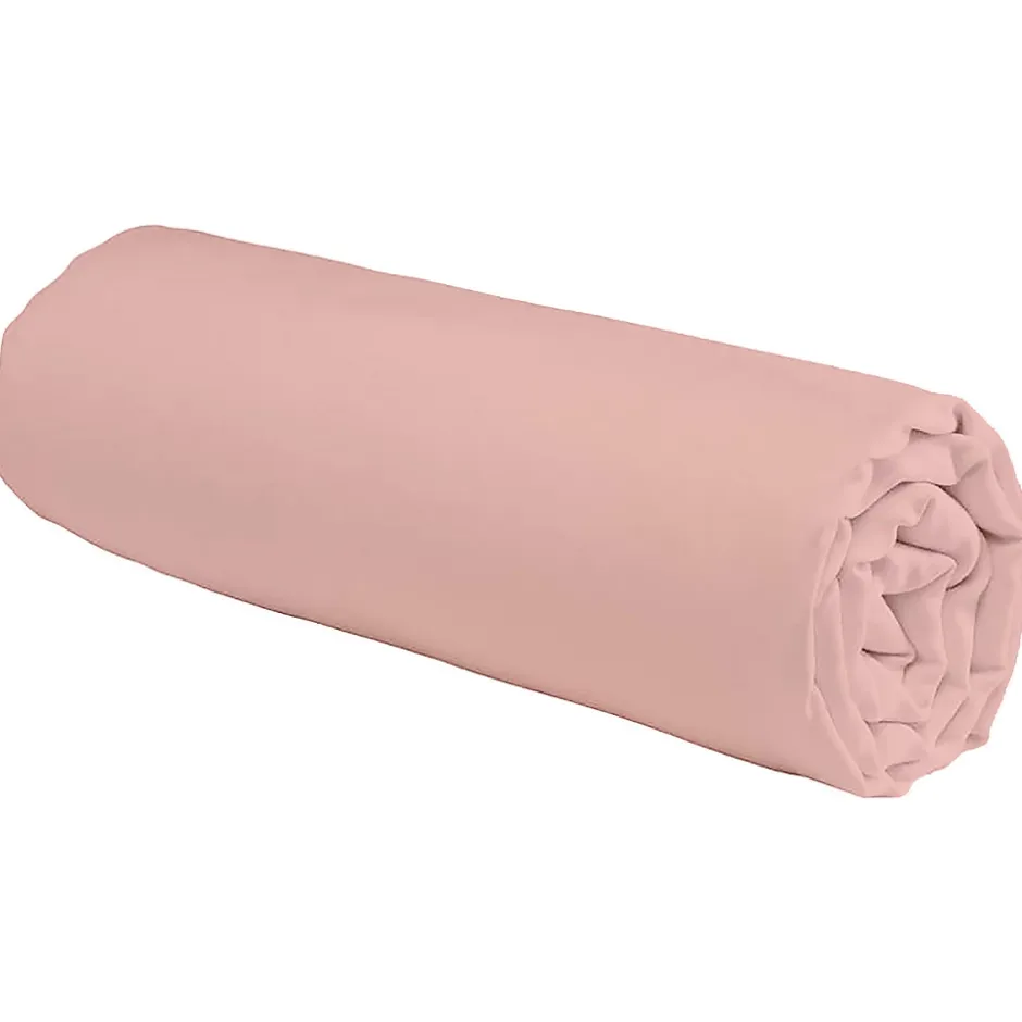 Future Home Drap housse en coton 57 fils uni bonnet 25cm 140x200cm Discount