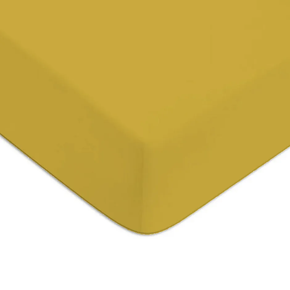 Future Home Drap housse en coton 57 fils uni bonnet 25cm 90x190cm